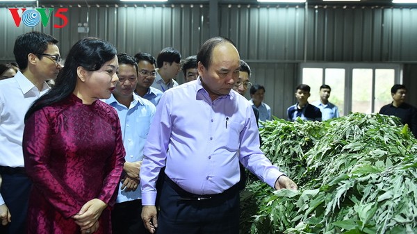 Conférence sur les matières premières pharmaceutiques vietnamiennes - ảnh 1